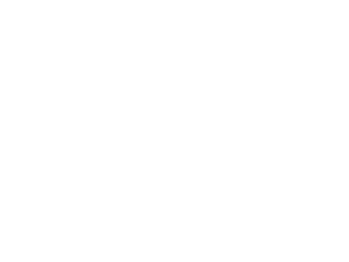 Frøstrups Videolab logo