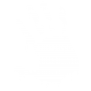 INTENSE symbol hvid INTENSE symbol hvid