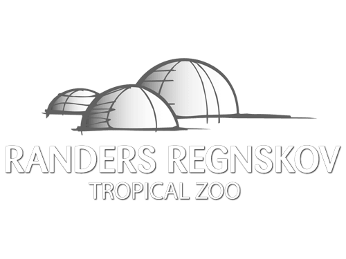 Randers Regnskov logo hjemmeside