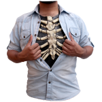 Skelet brystkasse - shop - webshop