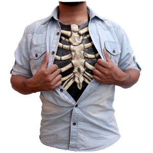 Skelet brystkasse - shop - webshop