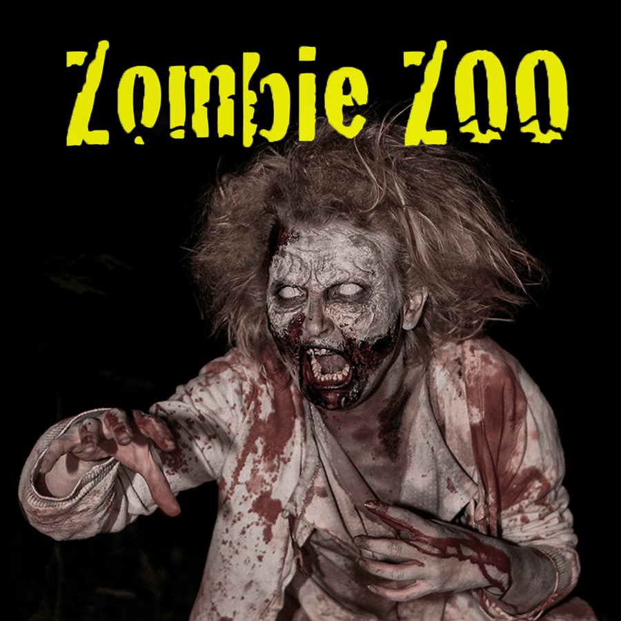 Zombie Zoo Den Hjemsøgte Camp